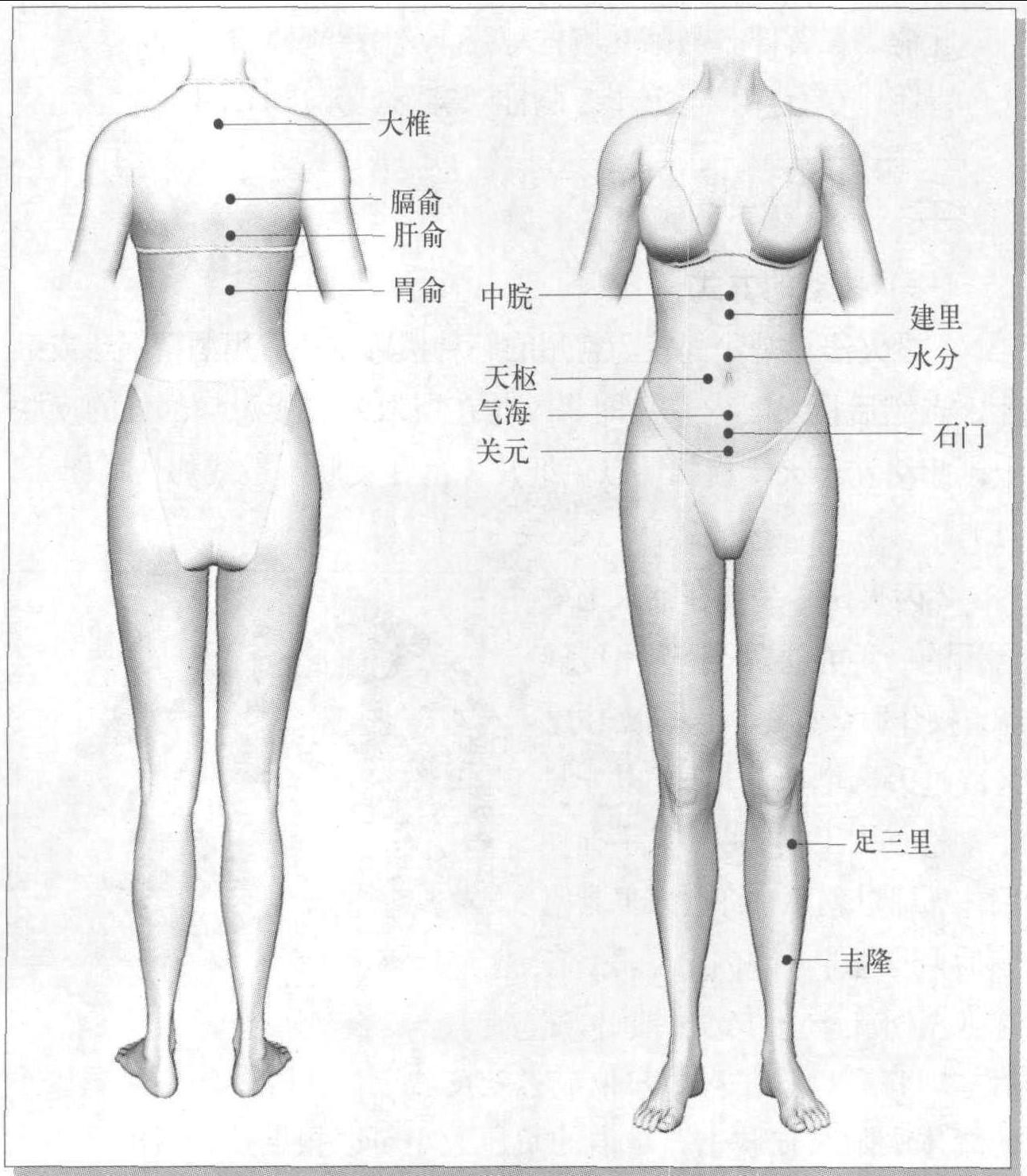 第四節 拔罐法減肥操作